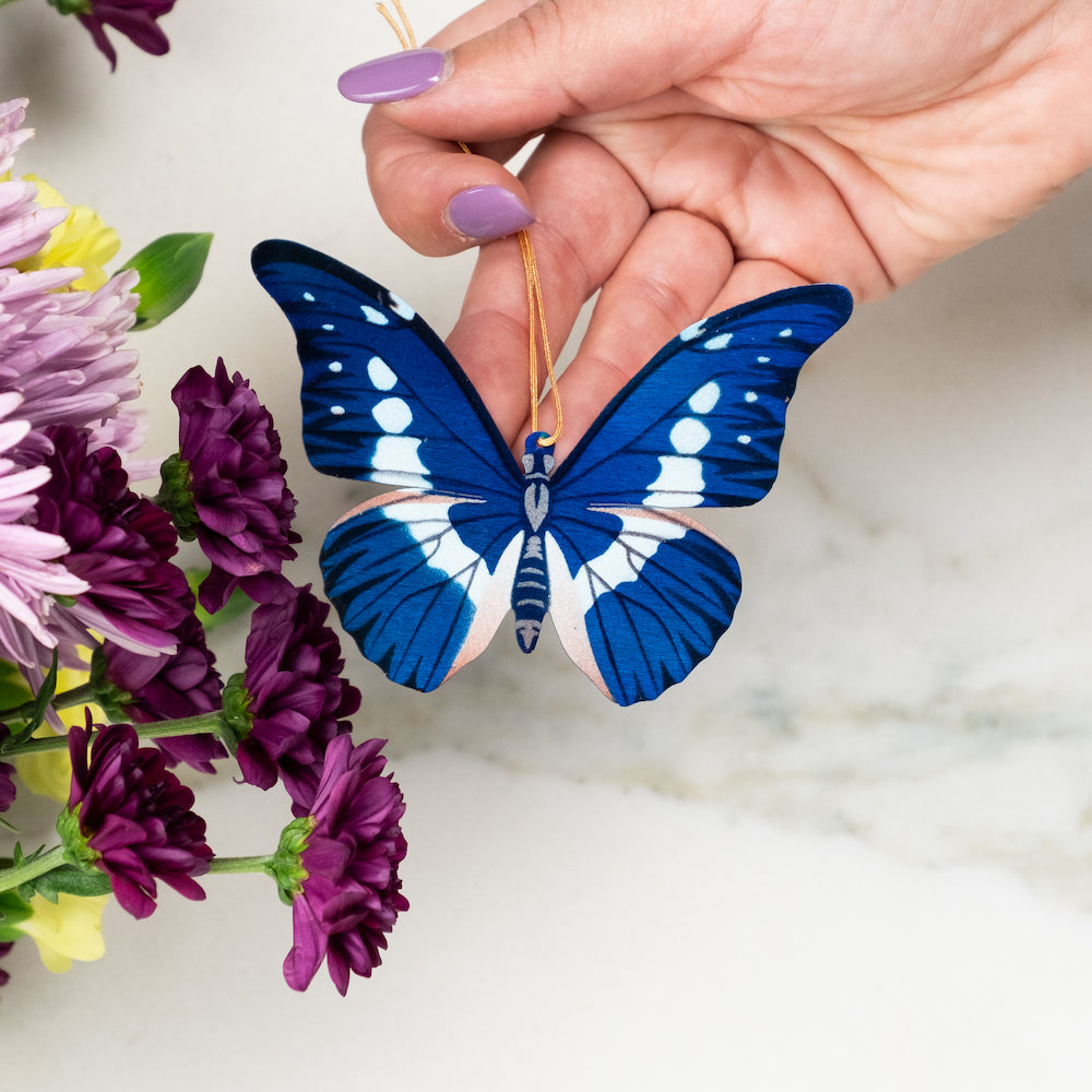 Helena Blue Morpho Butterfly Ornament (Morpho helena)