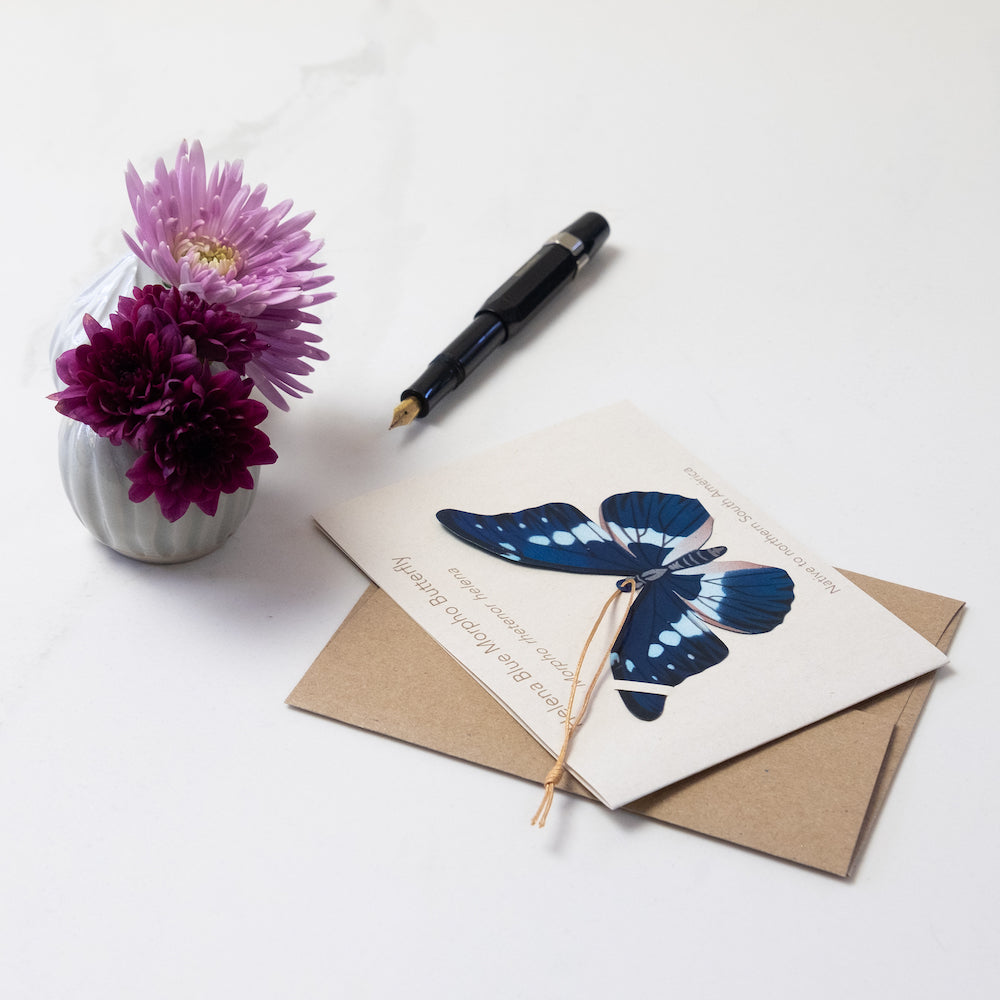 Helena Blue Morpho Butterfly Ornament (Morpho helena)