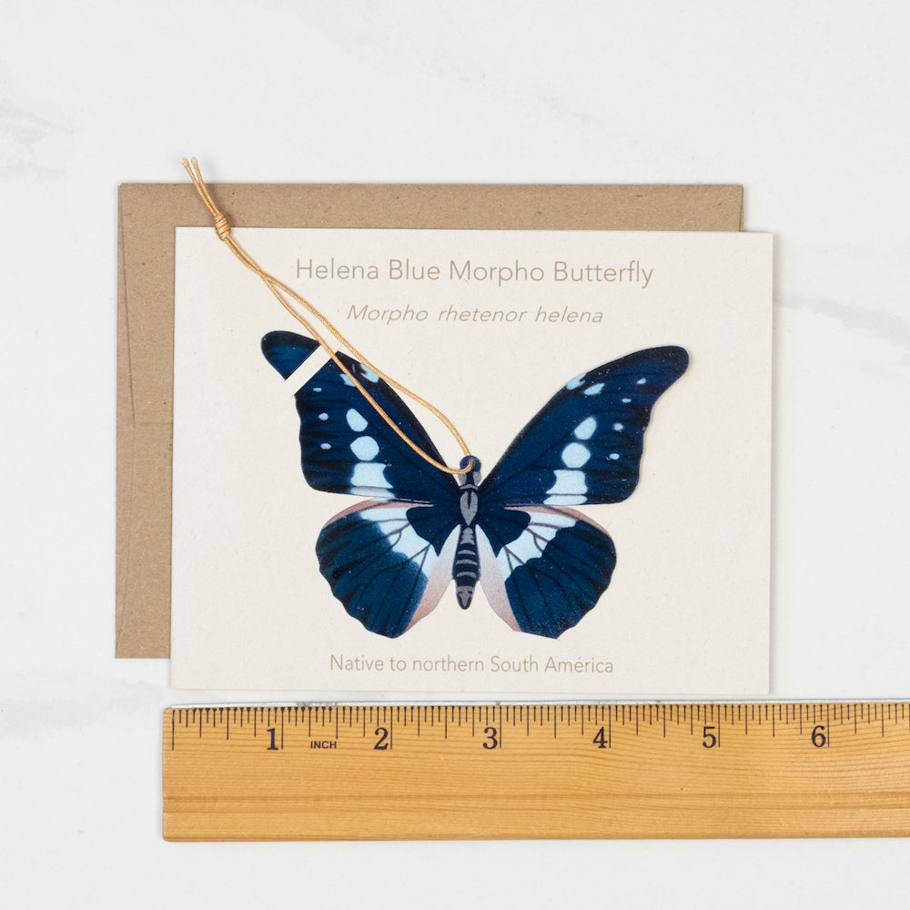 Helena Blue Morpho Butterfly Ornament (Morpho helena)