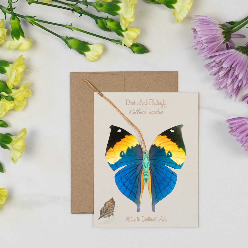 Dead Leaf Butterfly Ornament (Kallima inachus)