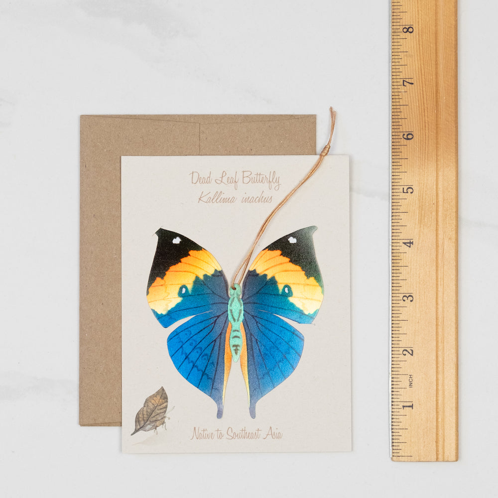 Dead Leaf Butterfly Ornament (Kallima inachus)