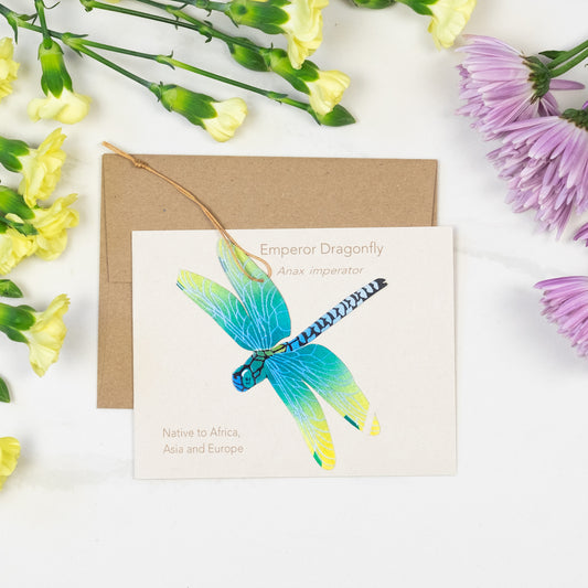 Dragonfly Ornament Notecard