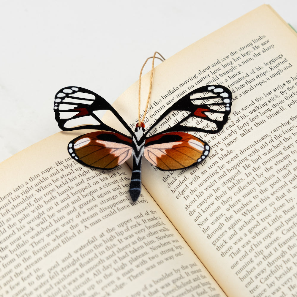 Glass Wing Butterfly Ornament (Ithomia jucunda)