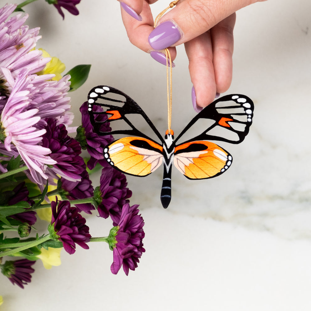 Glass Wing Butterfly Ornament (Ithomia jucunda)