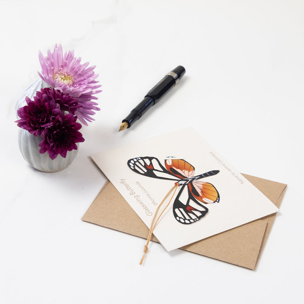 Glass Wing Butterfly Ornament (Ithomia jucunda)