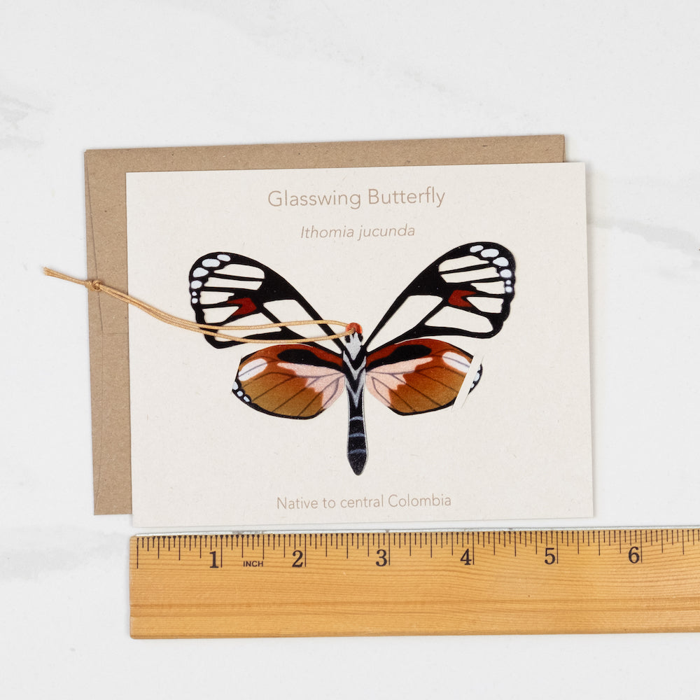 Glass Wing Butterfly Ornament (Ithomia jucunda)