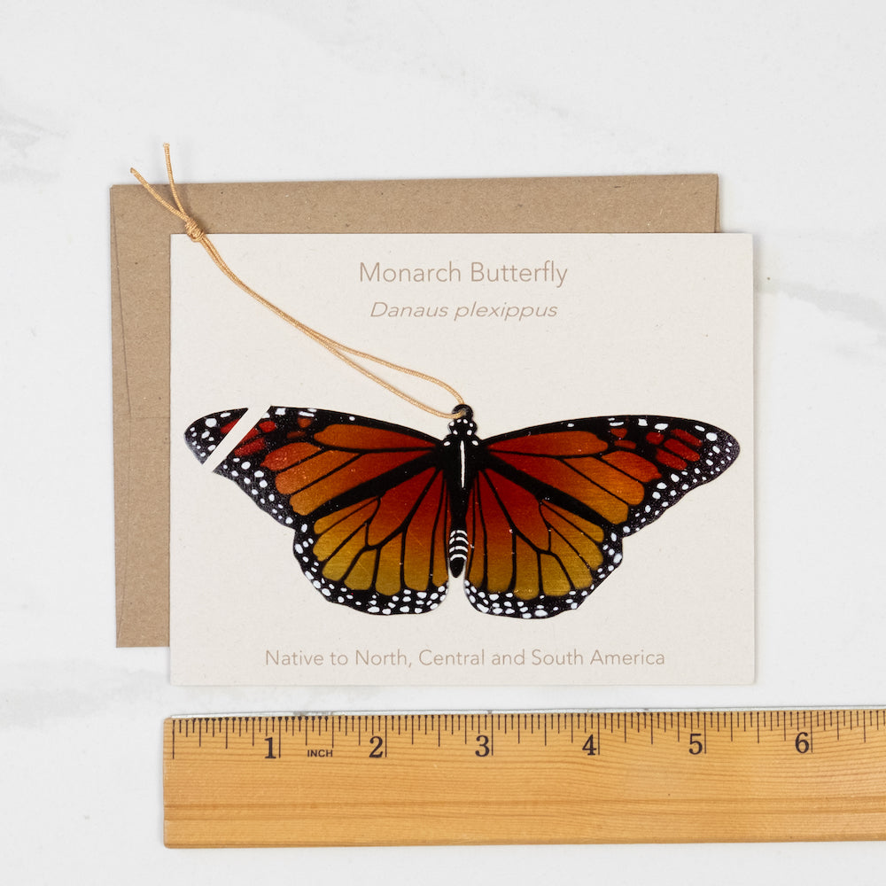 Monarch Butterfly Ornament (Danaus plexippus)