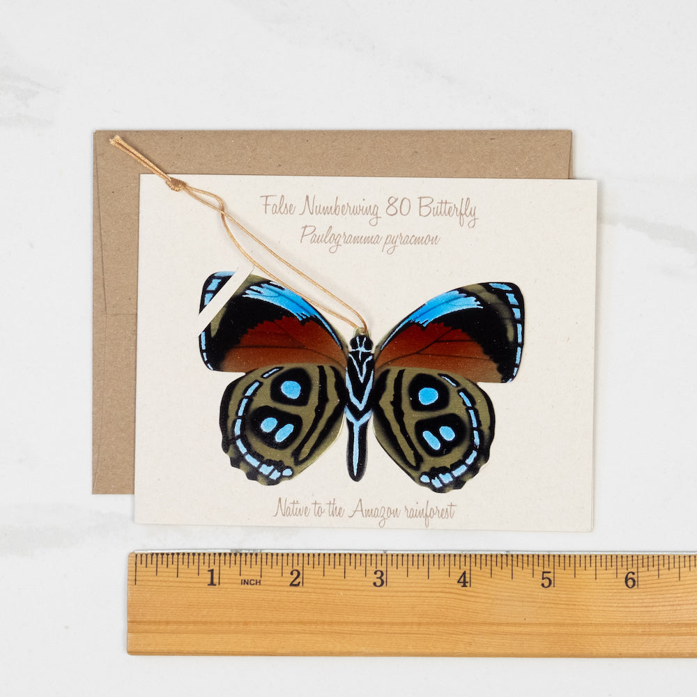 Numberwing Butterfly Ornament (Paulogramma pygas)