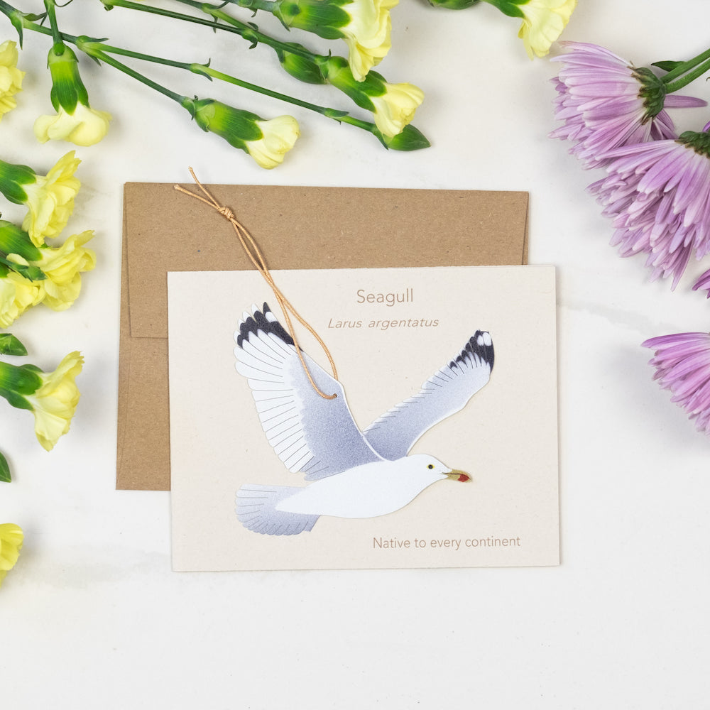 Seagull Bronze Ornament with Blank Notecard